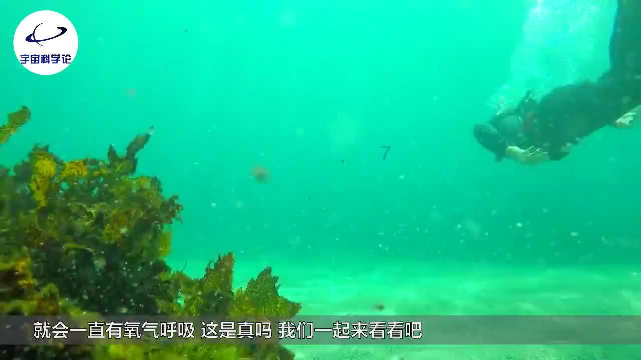 逃离沙漠的遗迹