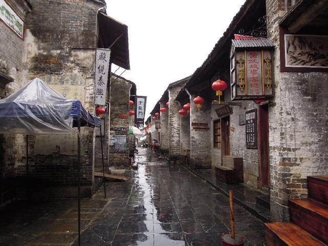 救援怒吼的狮子